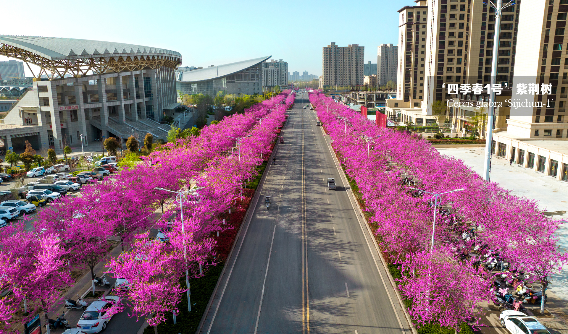 1673253738759357.jpg 1673253738759357.jpg