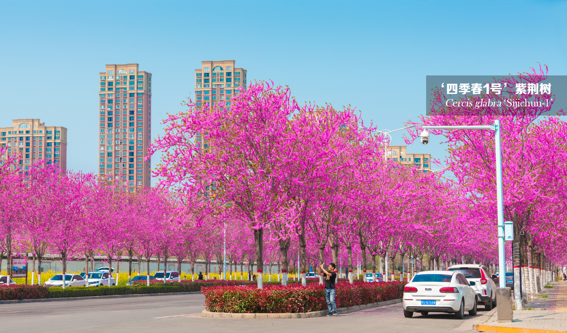 1673253872464560.jpg 1673253872464560.jpg