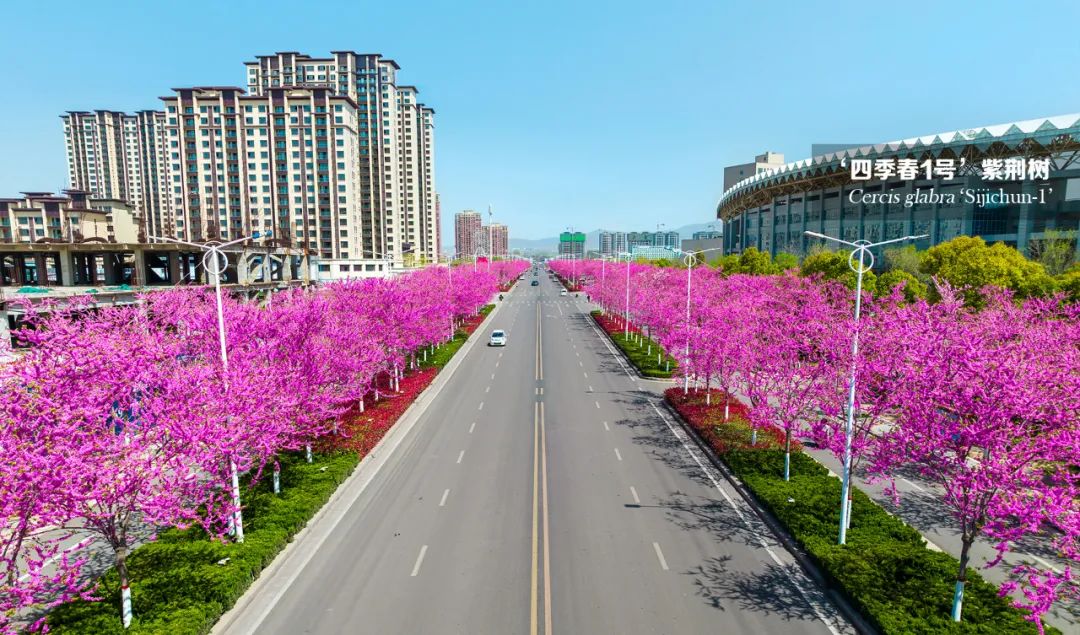 1673936582324005.jpg 微信圖片_20230117142153.jpg