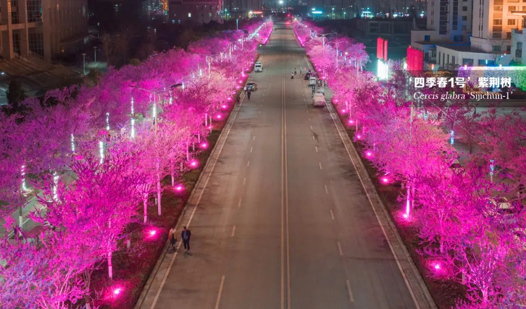 1673936609864892.jpg 微信圖片_20230117142208.jpg