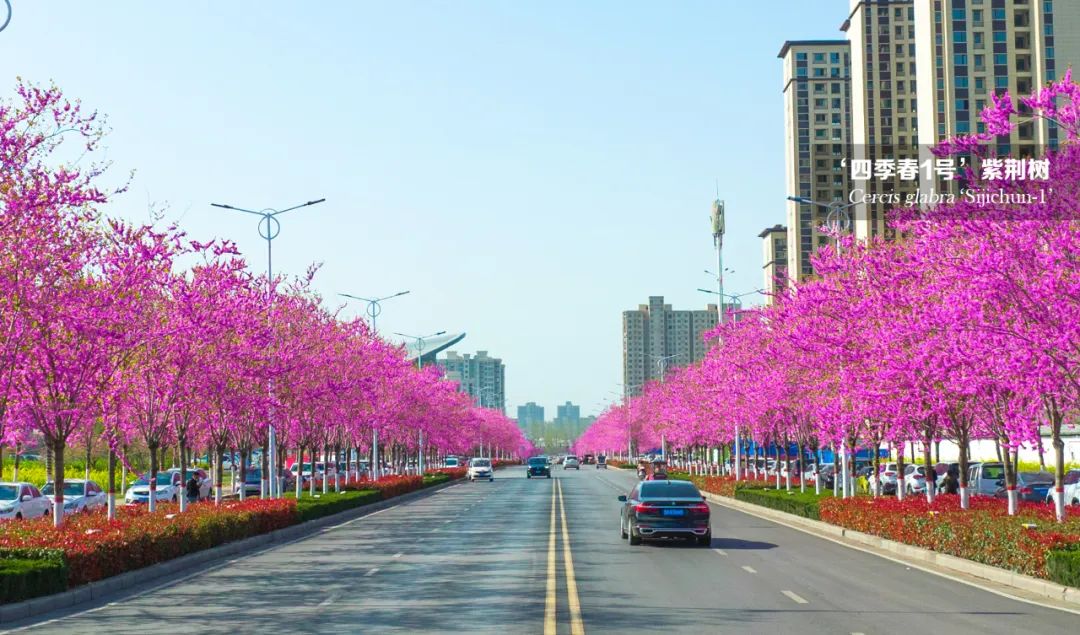 1673936690990712.jpg 微信圖片_20230117142236.jpg