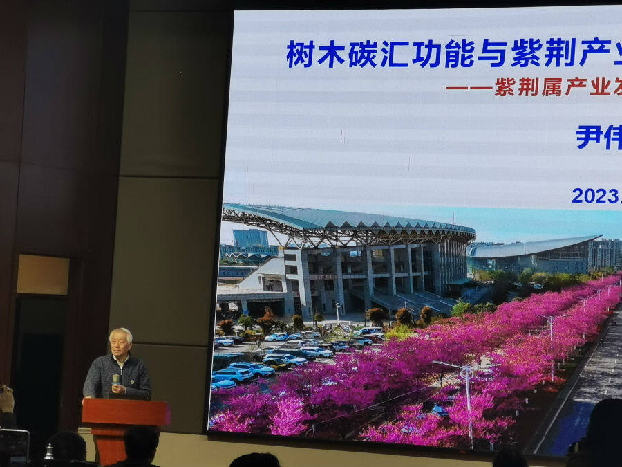 中國工程院院士、北京林業(yè)大學原校長尹偉倫作報告（李向東 攝）