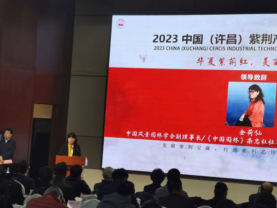 中國風景園林學會副理事長金荷仙在開幕式上講話（李向東 攝）