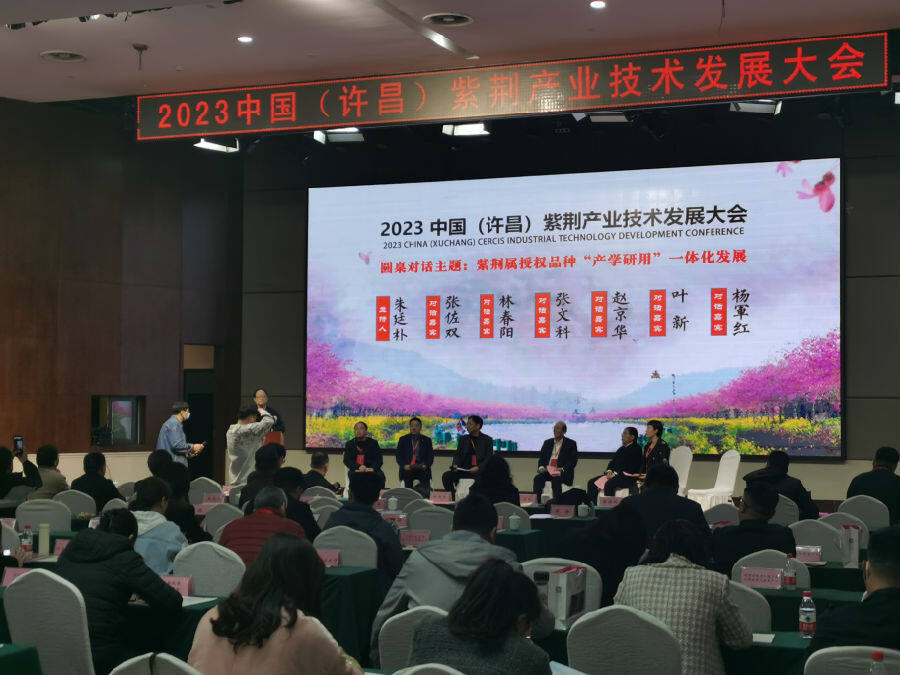 會議特邀嘉賓進行圓桌對話（李向東 攝）