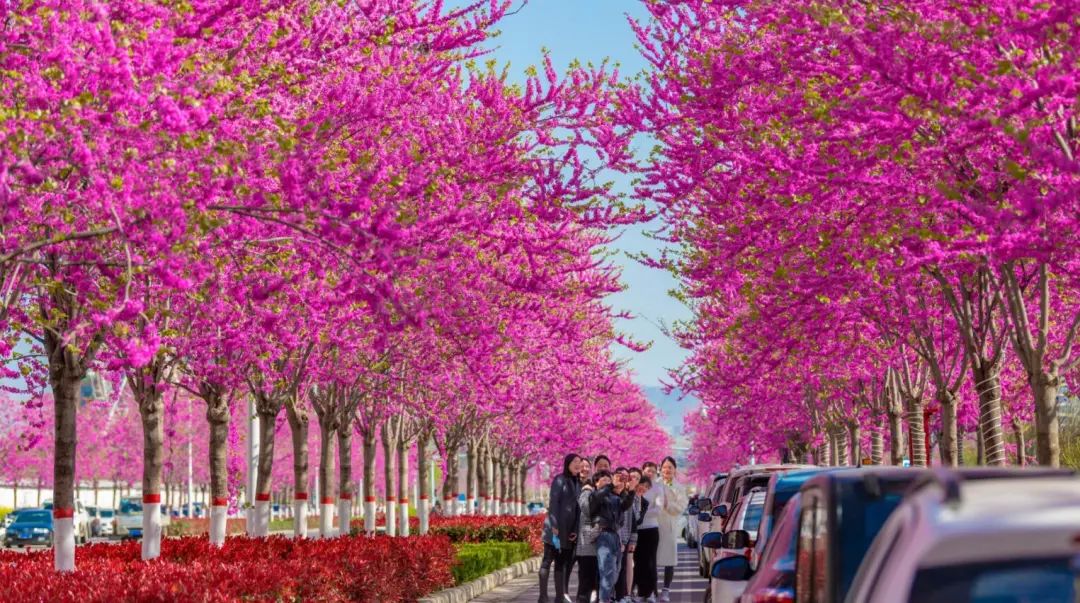 1680847838959118.jpg 微信圖片_20230407135637.jpg