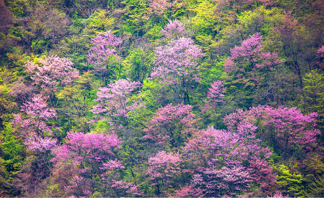 1680847859109705.png 微信圖片_20230407135658.png