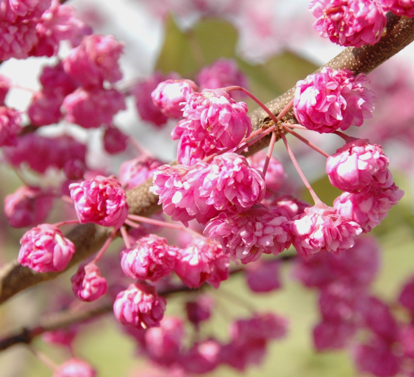 1680847902136038.png 微信圖片_20230407135711.png