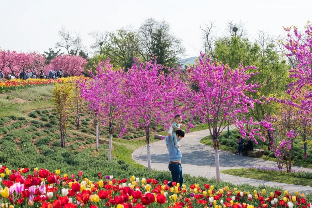 1680847948245147.jpg 微信圖片_20230407135729.jpg