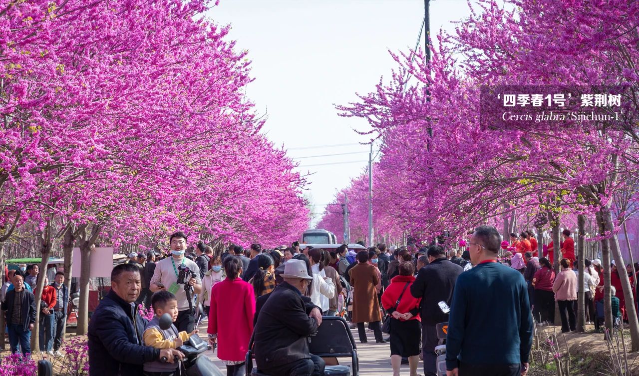 1681279398611918.jpg 微信圖片_20230412135419.jpg