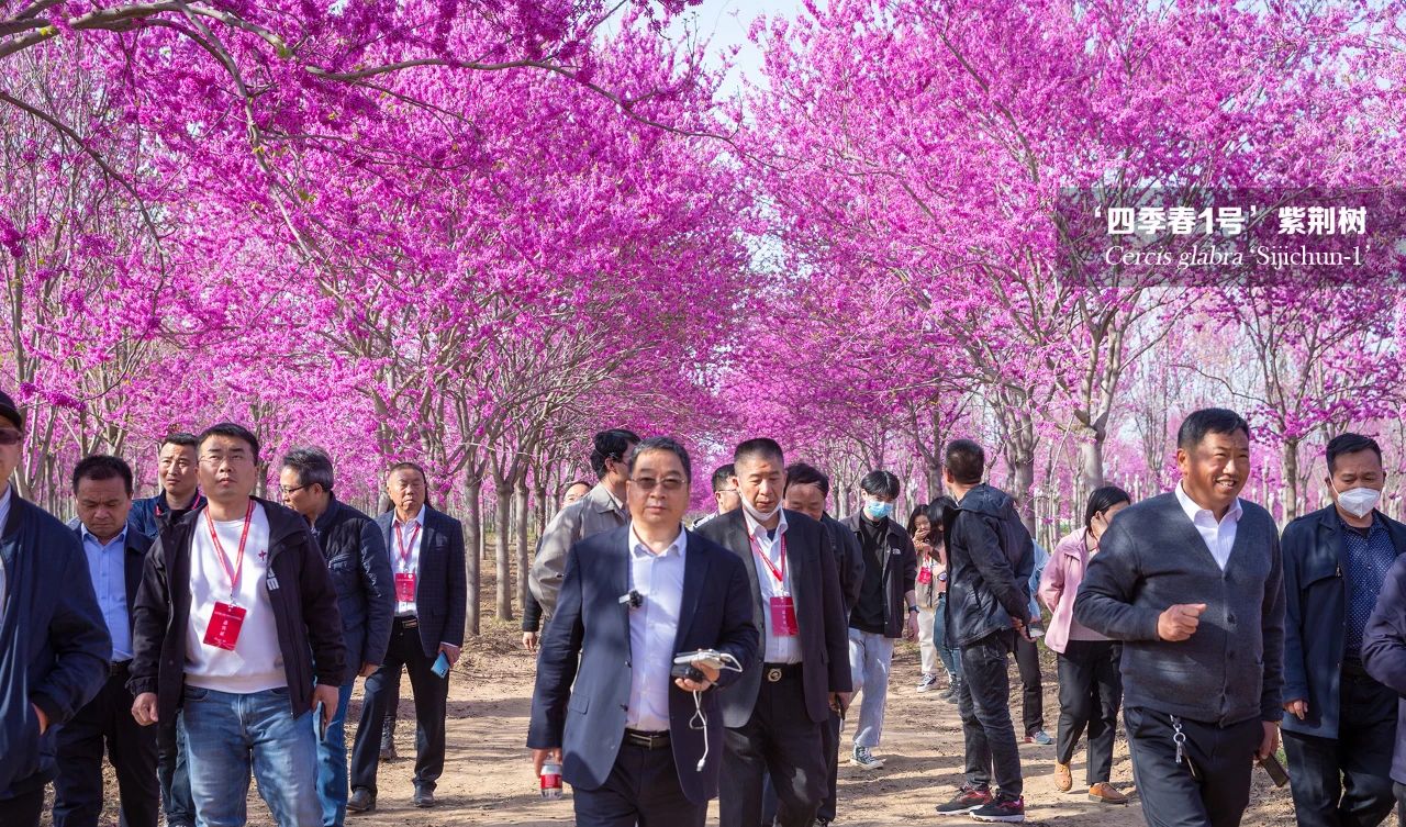 1681279417138096.jpg 微信圖片_20230412135423.jpg