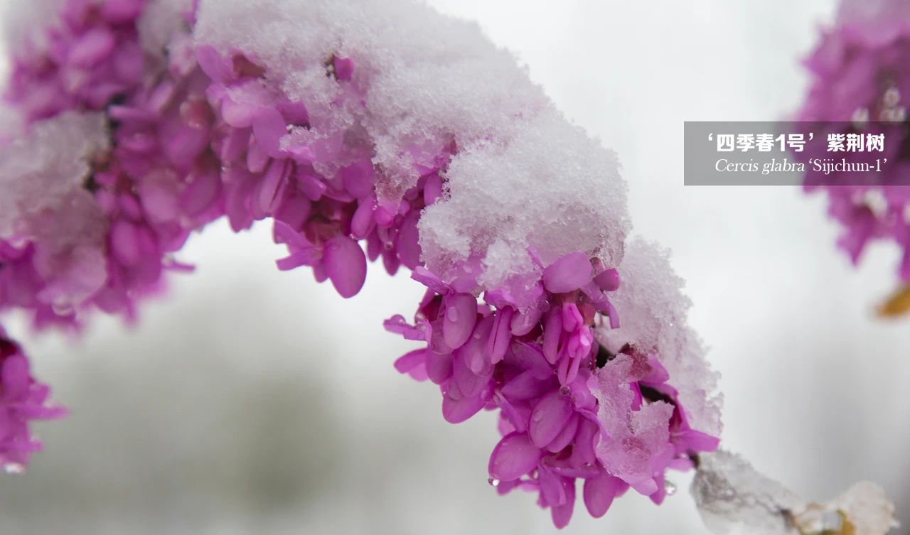 1682327422785707.jpg 微信圖片_20230424165618.jpg