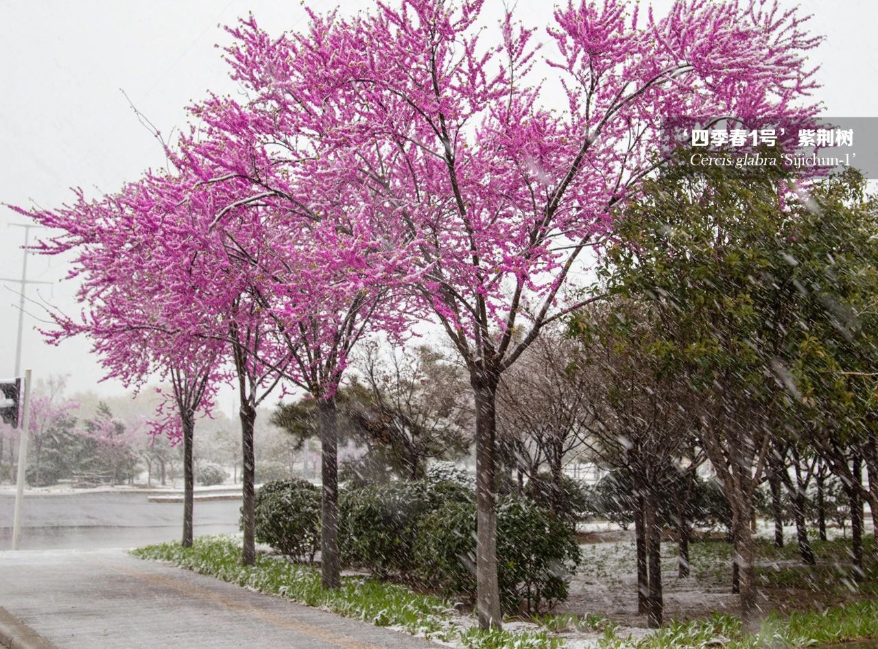 1682327432278132.jpg 微信圖片_20230424165623.jpg