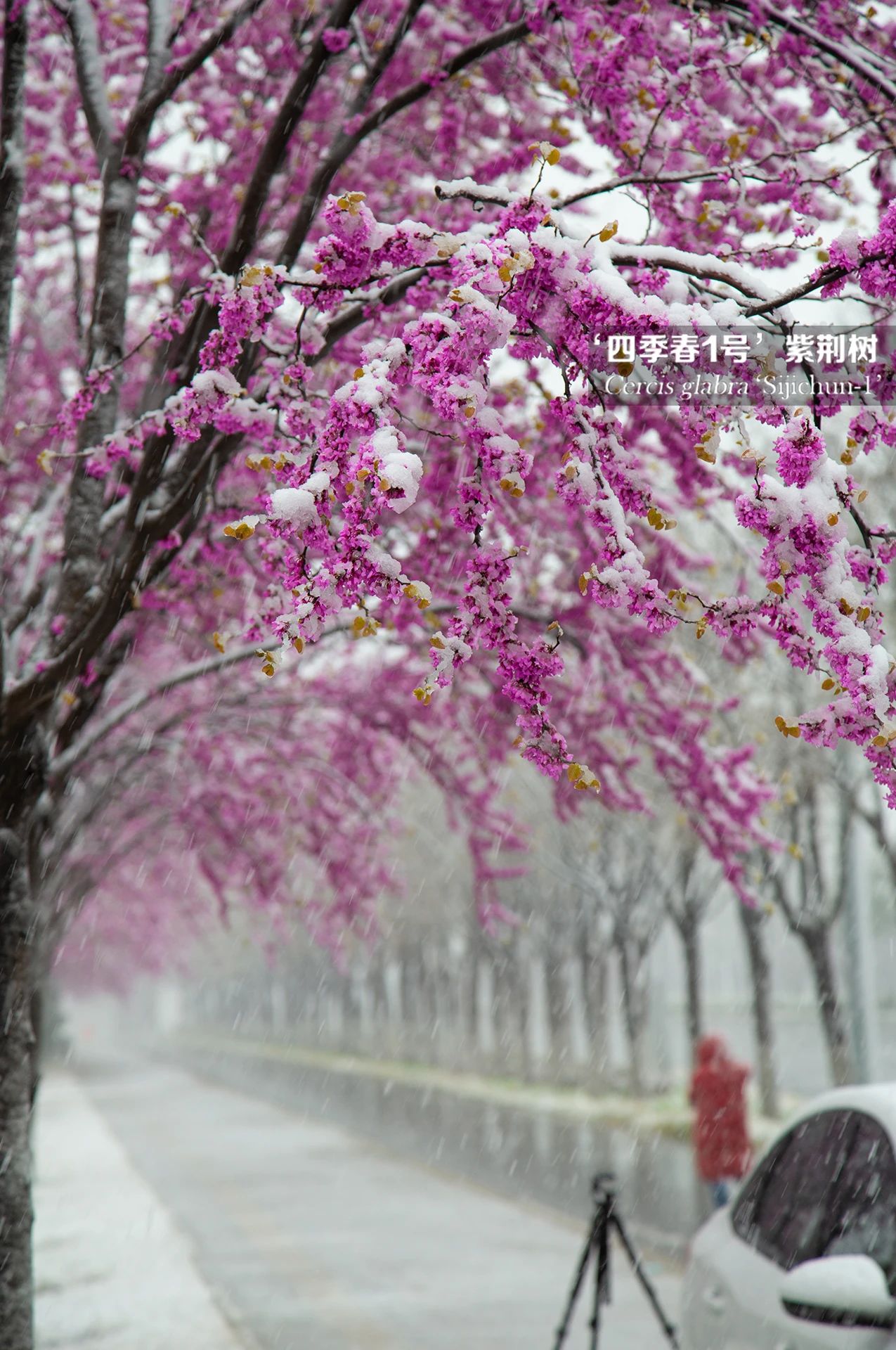 1682327454339275.jpg 微信圖片_20230424165631.jpg